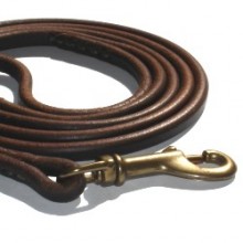 Premium Show Leash - Brown