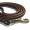 Premium Show Leash - Brown